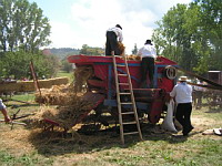 Battage a l'ancienne (ph. F. Mrugala, St Jean de Touslas)(4)